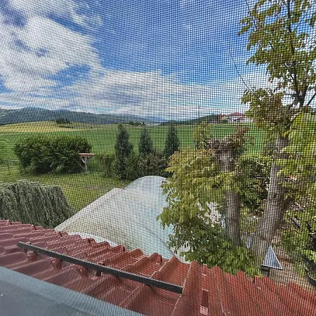 Im Gruenen Mit Pool Apartament